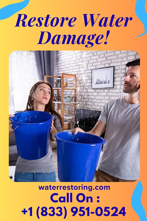water restoration Empire Flood Damage Masters New Hamilton