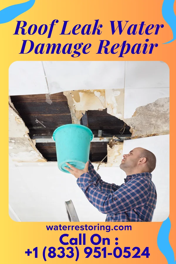 Roof Leak Water Damage Repair in New Hamilton, MS