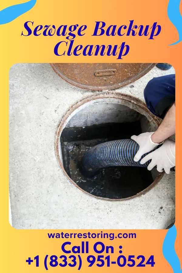 Sewage Backup Cleanup in New Hamilton, MS