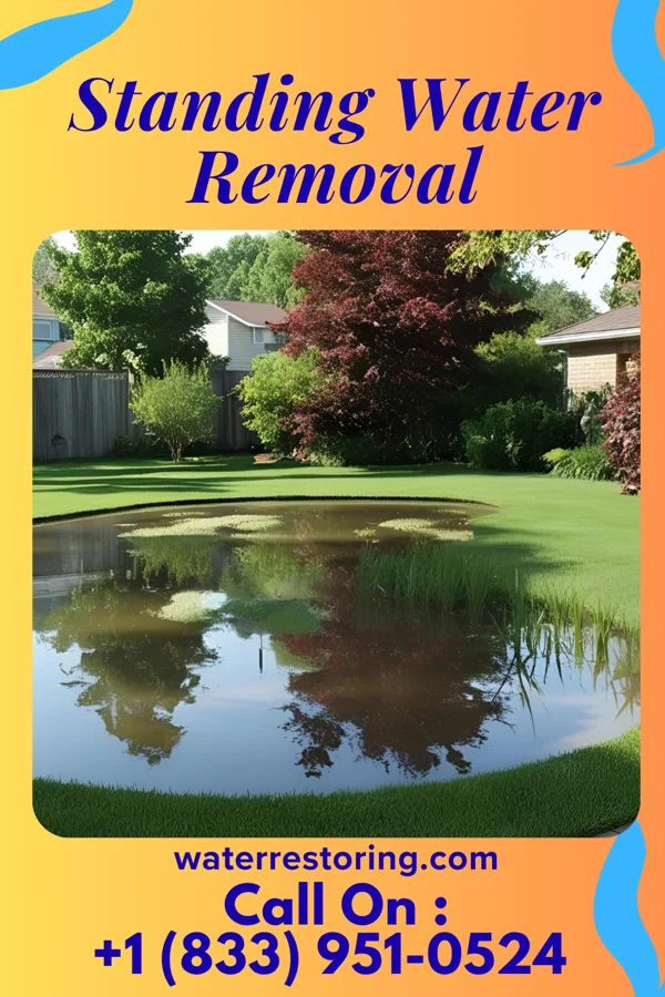Standing Water Removal in New Hamilton, MS